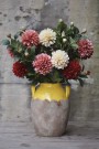 Dahlia støvet rosa 66cm thumbnail