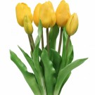 Gule tulipaner  54 cm thumbnail