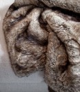 Alaska wolf thumbnail