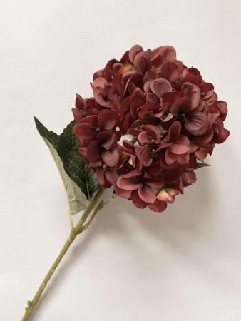 Hortensia 60 cm