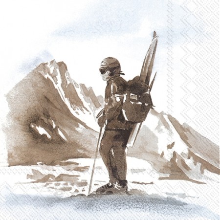 Abenteuer Lunsj servietter 33x33 cm