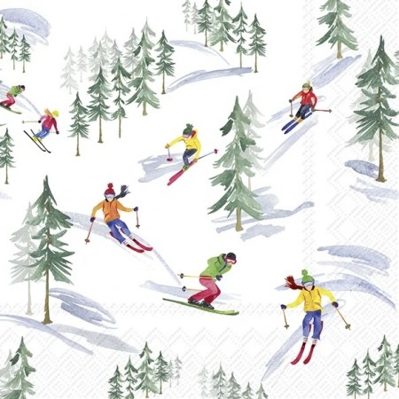Down The Slope Lunch 33x33cm