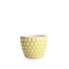 Mateus Bubbles eggeglass