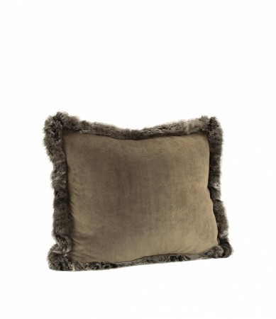GREY BEAR VELBOA Artwood 50x50 cm