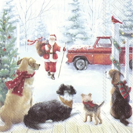 Dogplace Lunch 33x33 cm