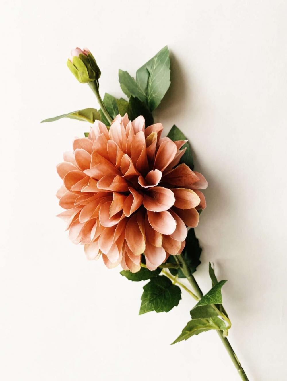 Dahlia støvet rosa 66cm